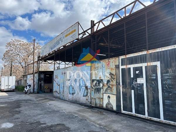 תמונת טברוס למכירה (1)