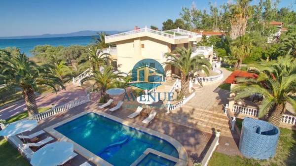 תמונת קסנדרה למכירה