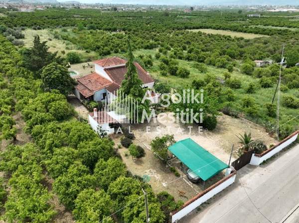 תמונת נאפפליו, פלופונס למכירה (0)