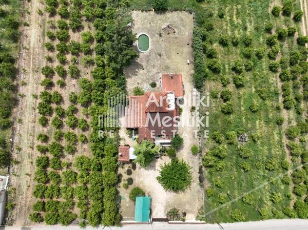 תמונת נאפפליו, פלופונס למכירה (1)