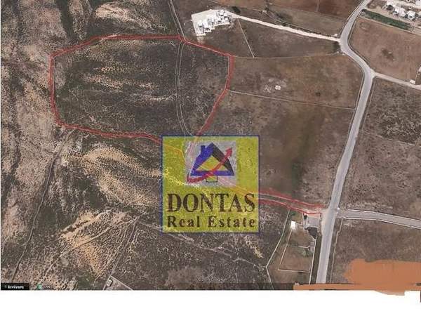 תמונת מיקונוס למכירה (1)