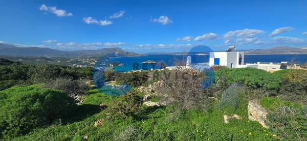 תמונת אפוקורנס, כרתים למכירה (0)