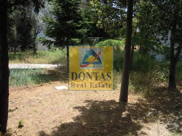 תמונת נאה קיפיסיה, קיפיסיה, אתונה למכירה (0)