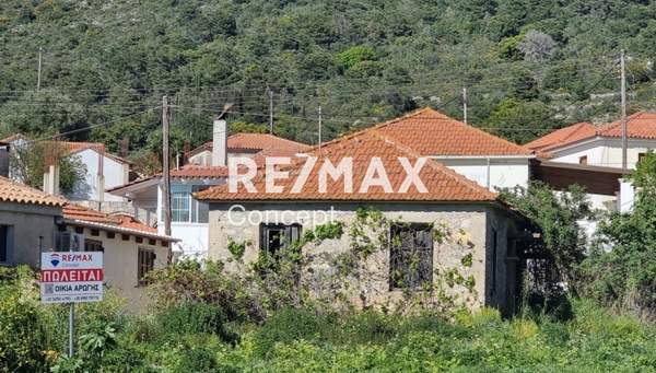 תמונת זקינתוס למכירה (0)