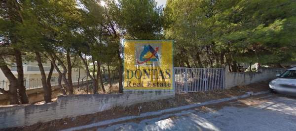 תמונת נאה פאנטלי למכירה (0)