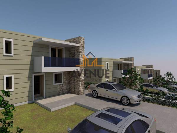 תמונת קסנדרה למכירה