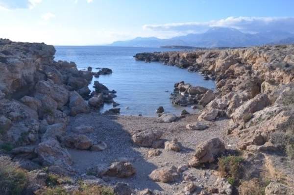 תמונת סיטיה למכירה