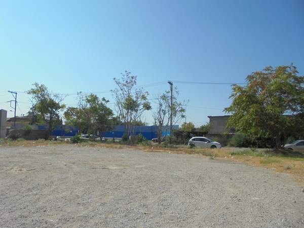 תמונת אמבלוקיפי - מנאמני למכירה (0)