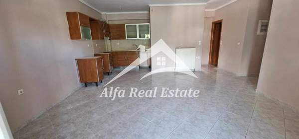 תמונת תרמיקוס למכירה (0)