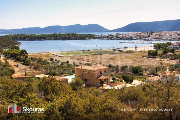 תמונת ארמיונידה, פלופונס למכירה (0)