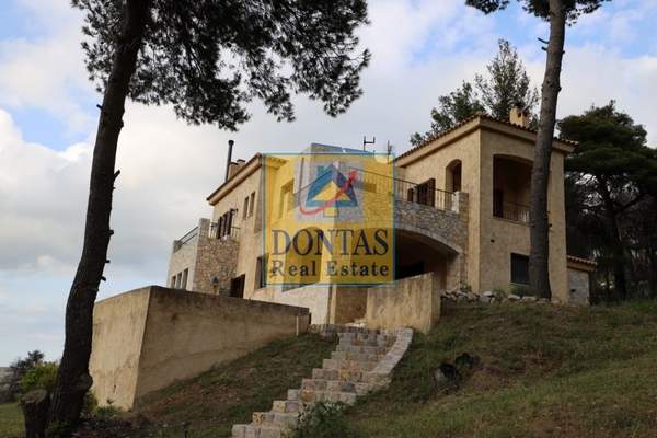 תמונת אורופוס למכירה (1)