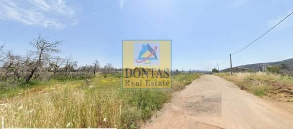 תמונת אורופוס, אתונה למכירה (1)