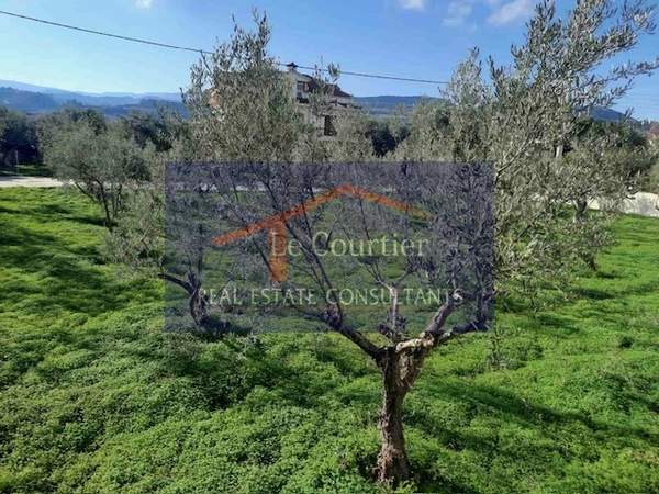 תמונת קסילוקסטרו ואברוסטינה למכירה