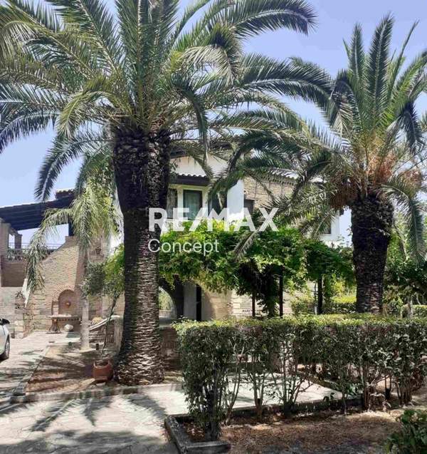 תמונת זקינתוס למכירה (0)