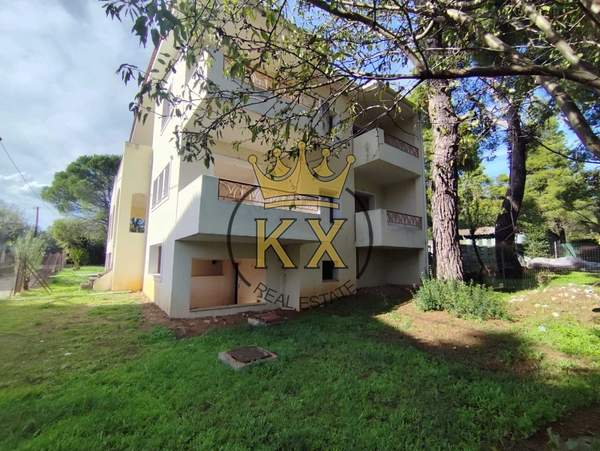 תמונת דיוניסוס למכירה (0)