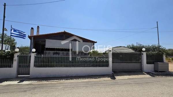 תמונת קורופי למכירה (0)