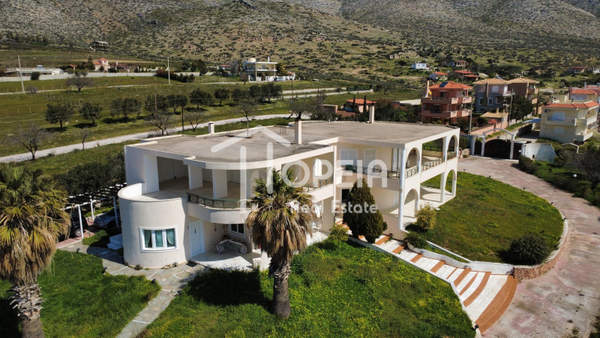 תמונת סרוניקוס, אתונה למכירה