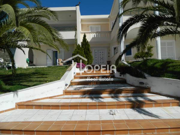 תמונת סרוניקוס, אתונה למכירה