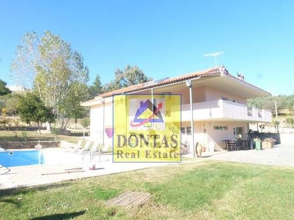 תמונת אורופוס למכירה (0)