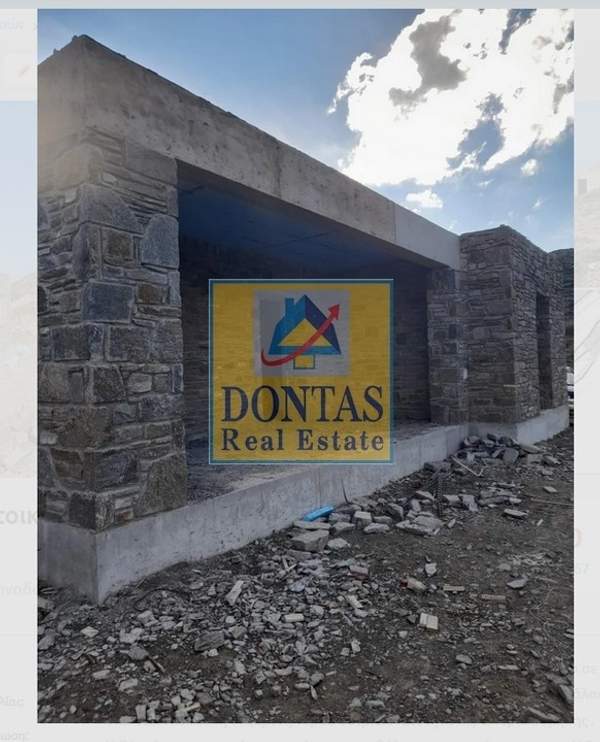 תמונת פארוס למכירה