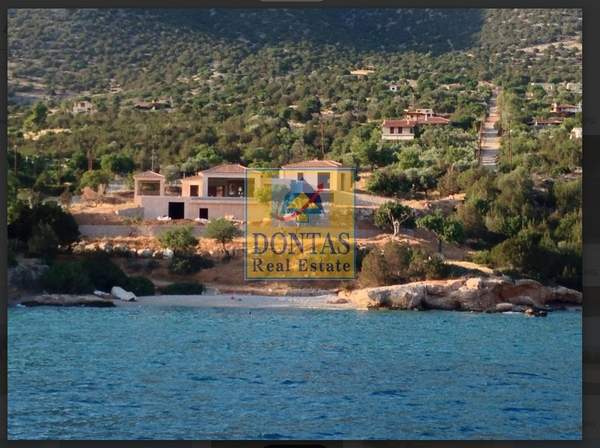 תמונת ארמיונידה למכירה (1)