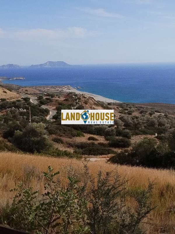 תמונת אגיוס וסיליוס למכירה