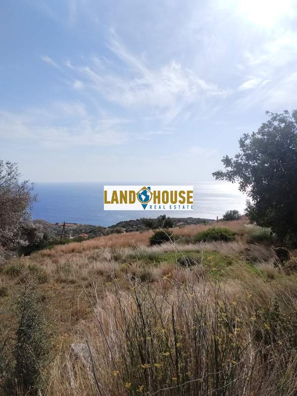 תמונת אגיוס וסיליוס למכירה