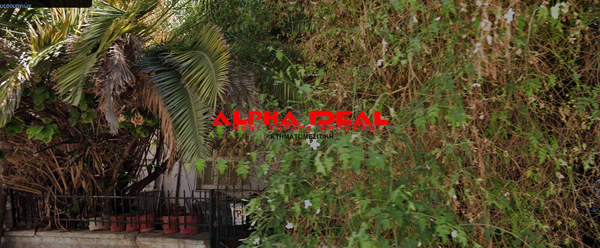 תמונת ניקיה למכירה (0)