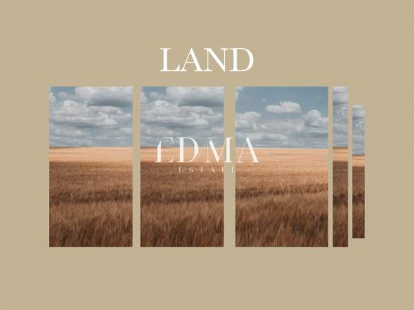 תמונת נאה פרופונדיטה, כלקידיקי למכירה (0)