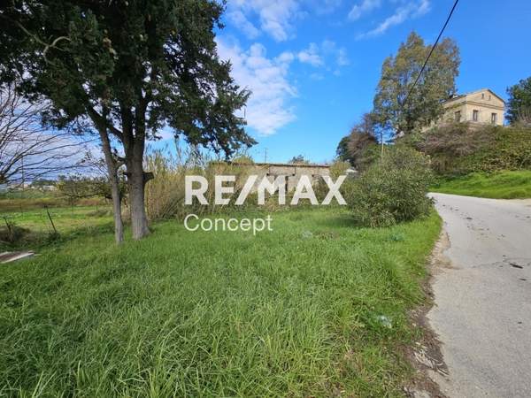 תמונת זקינתוס למכירה (1)