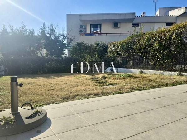 תמונת פאיליה - חורטיאטיס למכירה (1)