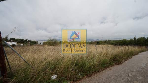 תמונת קיפיסיה, אתונה למכירה