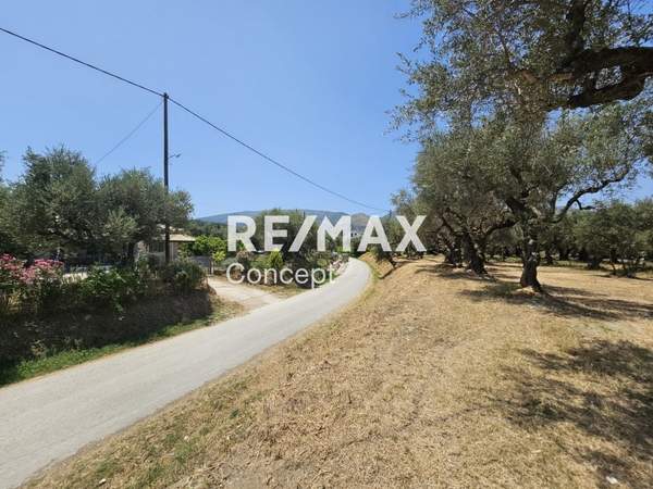 תמונת זקינתוס למכירה (1)