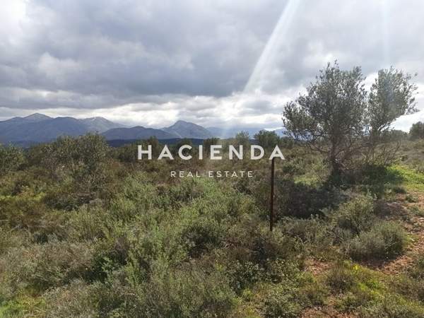 תמונת מינואה פדיאדוס, כרתים למכירה (1)