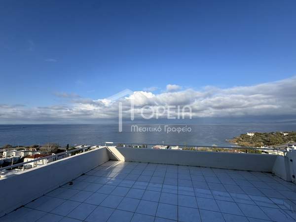 תמונת סרוניקוס למכירה (0)