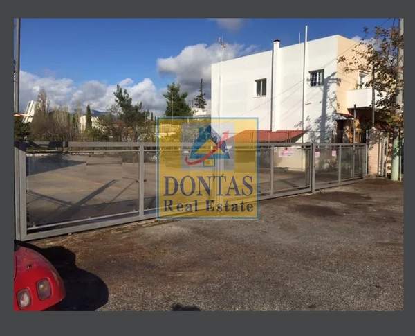 תמונת נאה קיפיסיה, קיפיסיה למכירה (1)