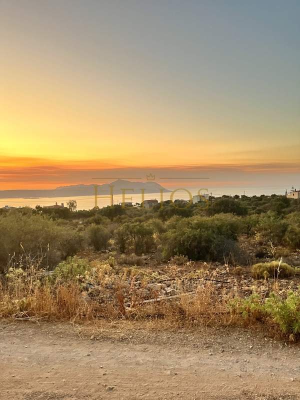 תמונת אפוקורנס למכירה (1)