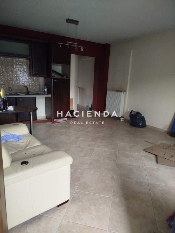 תמונת פאיליה - חורטיאטיס למכירה (0)