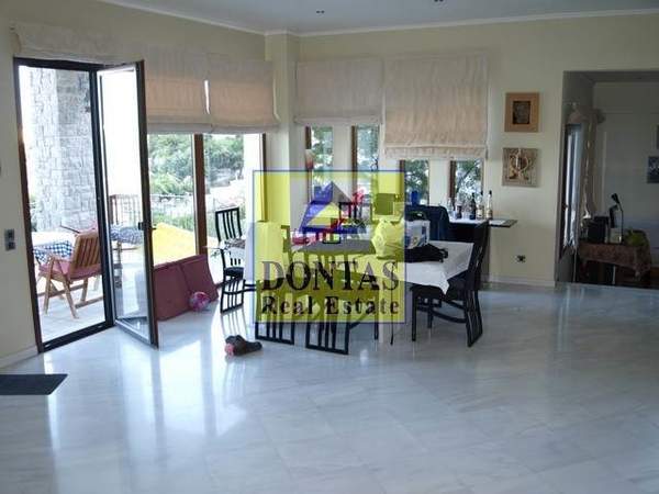 תמונת חיוס למכירה (0)