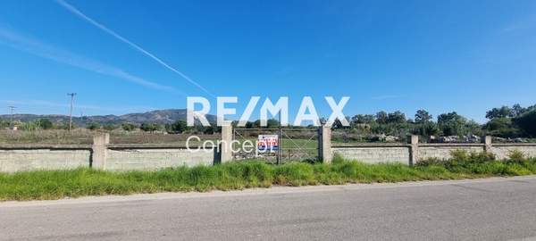 תמונת זקינתוס למכירה (0)