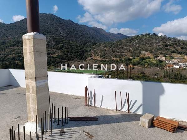 תמונת מאלוויצי למכירה (1)