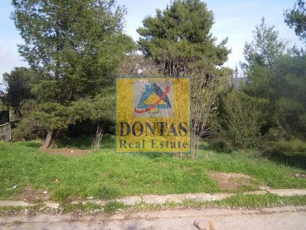 תמונת דיוניסוס, אתונה למכירה (1)