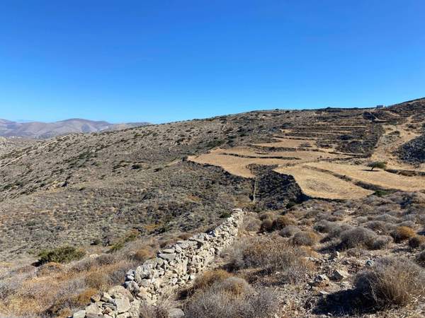 תמונת סירוס וארמופולי למכירה