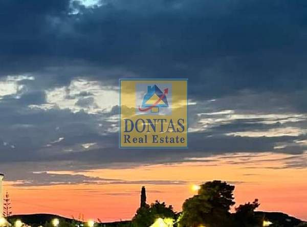 תמונת פילוס ונסטור למכירה