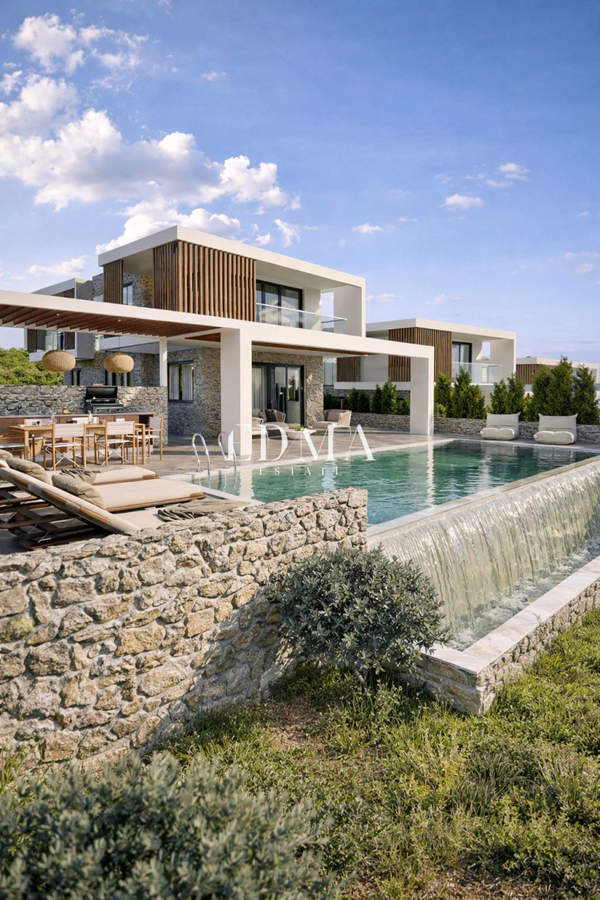 תמונת קסנדרה, כלקידיקי למכירה (1)