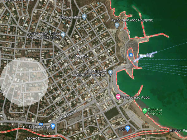 תמונת ראפינה - פיקרמי למכירה (0)