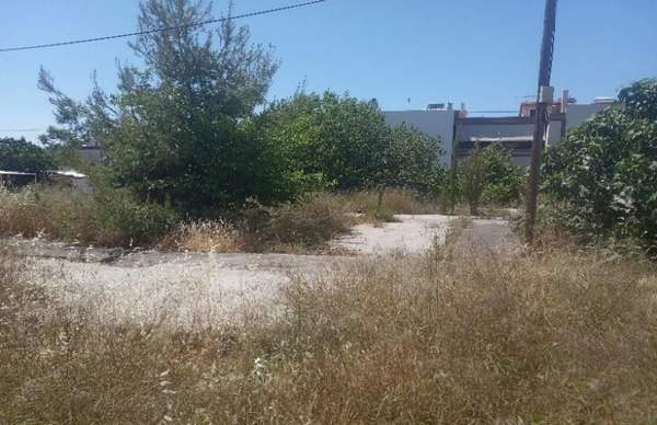 תמונת אנו ליוסיה, אתונה למכירה