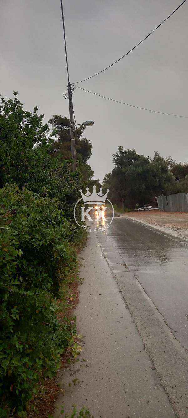 תמונת מרוסי למכירה (0)