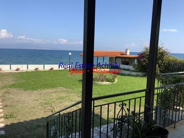 תמונת איגאליאה למכירה (0)