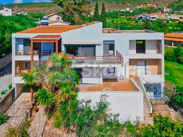 תמונת נאפפליו, פלופונס למכירה (0)